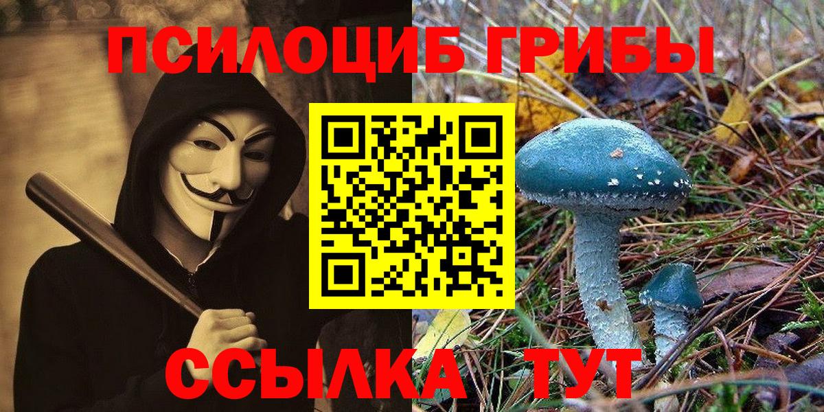 Псилоцибиновые грибы Cubensis  Вход с VPN  Рузаевка  Галлюциногенные грибы Psilocybe 